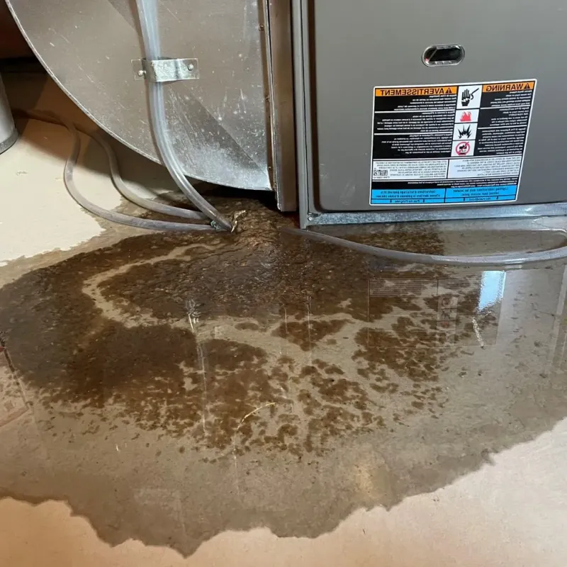 Pipe Burst and Leak Restoration in Adair County, OK